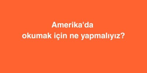 Amerika'da okumak için ne yapmalıyız? 315 Amerikada okumak icin ne yapmaliyiz