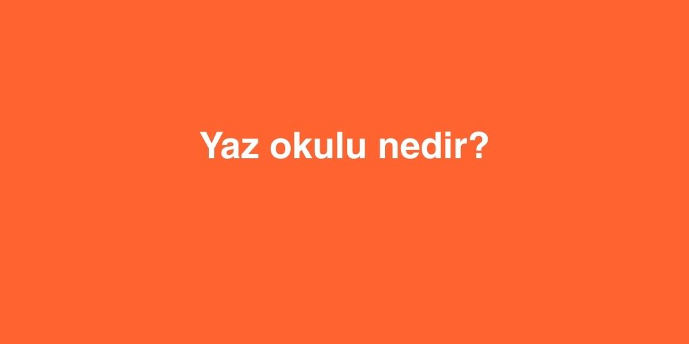 Yaz Okulu Nedir 1