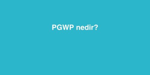 PGWP Nedir? 262 PGWP Nedir 2