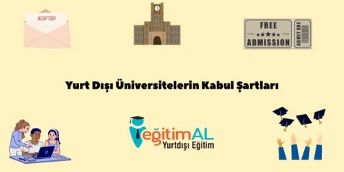Bir alt baslik ekleyin 31
