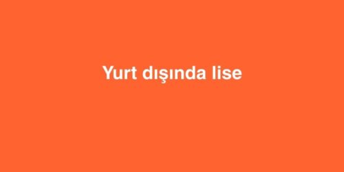 Yurt dışında Lise 219 Yurt disinda Lise