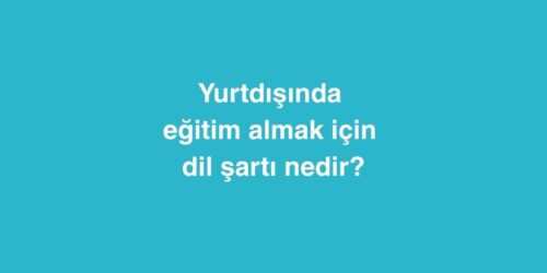 Yurtdışında Eğitim Almak İçin Dil Şartı Nedir? 204 Yurtdisinda Egitim Almak Icin Dil Sarti Nedir 1
