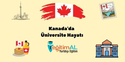 Bir alt baslik ekleyin 33