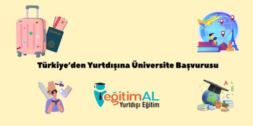 Bir alt baslik ekleyin 34