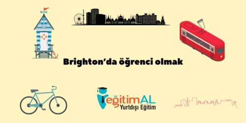 Bir alt baslik ekleyin 35