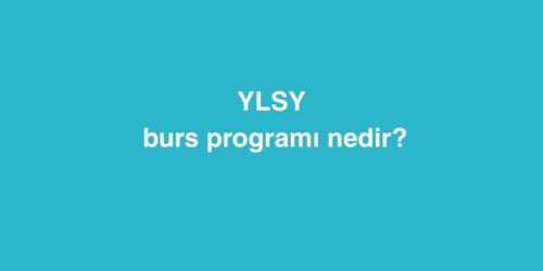 YLSY Burs Programi Nedir 1