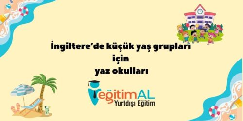 Bir alt baslik ekleyin 44