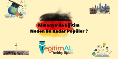 Bir alt baslik ekleyin 45