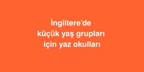 Ingilterede Kucuk Yas Gruplari Icin Yaz Okullari