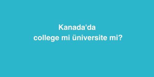 Yurt Disinda Egitim Hakkinda Sik Sorulan Sorular 2