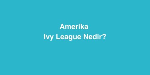 Amerika Ivy League Nedir