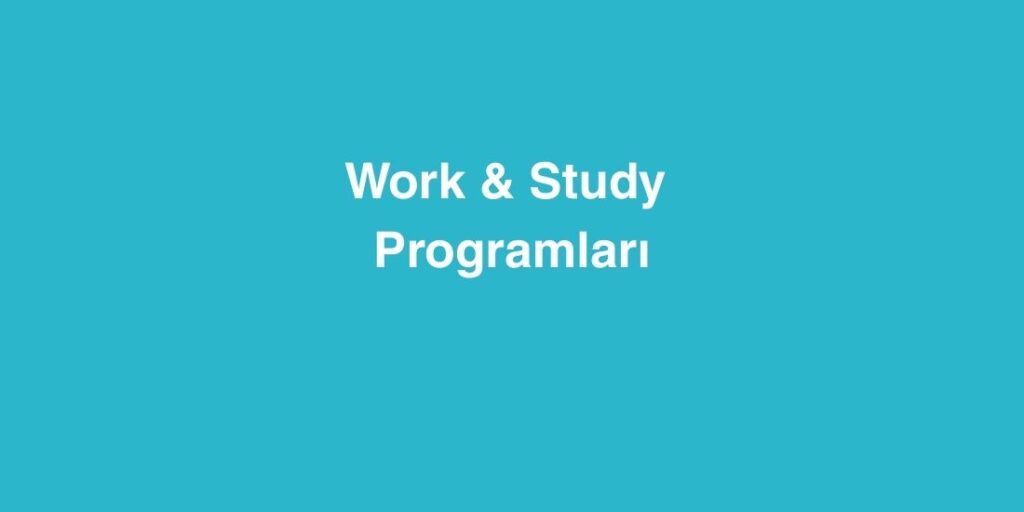 Work Study Programlari