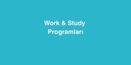 Work Study Programlari