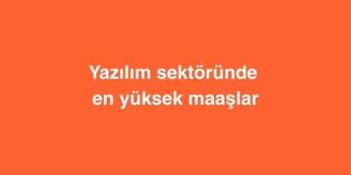Yazilim Sektorunde En Yuksek Maaslar