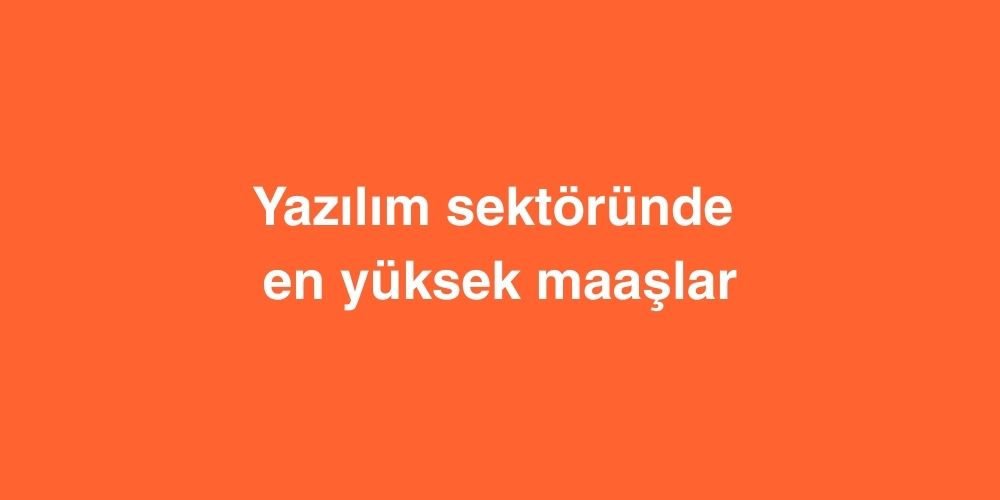 Yazilim Sektorunde En Yuksek Maaslar