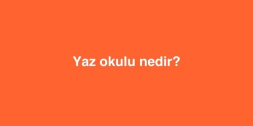 yaz okulu nedir 1