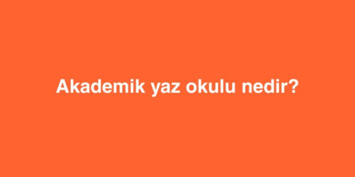 Akademik Yaz Okulu Nedir