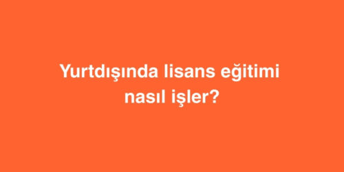 Yurtdisinda Lisans Egitimi Nasil Isler