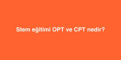 Stem Egitimi OPT ve CPT Nedir