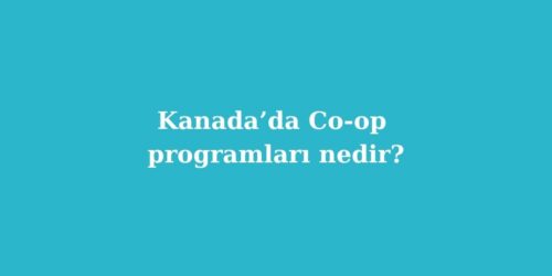 Kanadada Co op Programlari Nedir