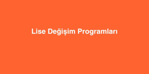 Lise Degisim Programlari