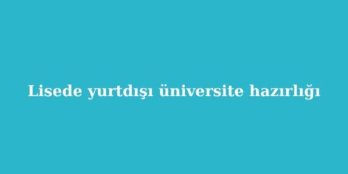 Lisede Yurtdisi Universite Hazirligi