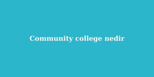 Community College Nedir