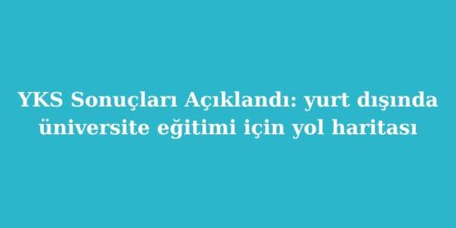 YKS Sonuclari Aciklandi Yurt Disinda Universite Egitimi Icin Yol Haritasi