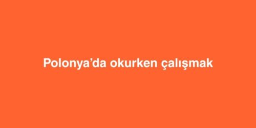 Polonyada Okurken Calismak